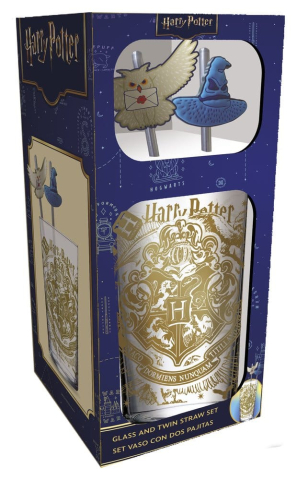 Casa si Cadouri - Harry Potter Glass Tumbler with Straws Magic &amp; Mayhem 485 ml