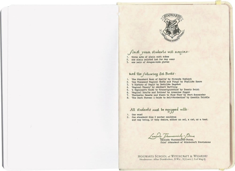 Harry Potter Hardcover Notebook Hogwarts Letter 21 cm [4]