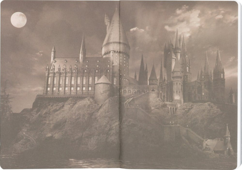Harry Potter Softcover Notebook Hufflepuff 21 cm [6]