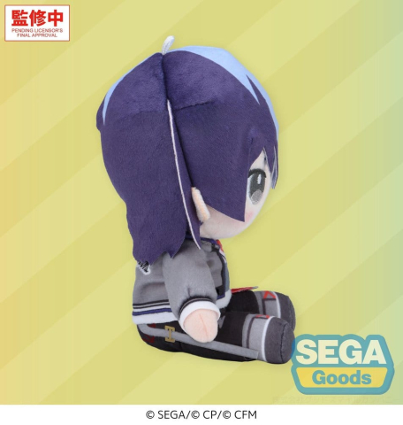 Hatsune Miku: Colorful Stage! Mysekai Plush Figure Toya Aoyagi (S) 13 cm [2]