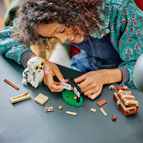 LEGO Harry Potter Hedwig pe Privet Drive 76425 [3]