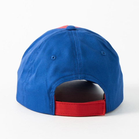 Hot Wheels Baseball Cap Assortment (12) [1]