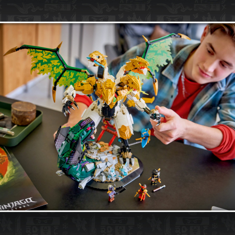 Impresionanta bătălie a dragonului [6]