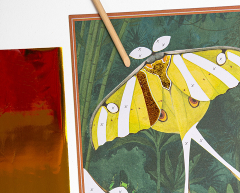 Joc creativ Planse fantastice Insecte si animale, Moulin Roty [4]