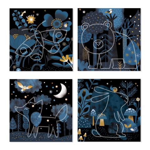 Joc de creatie Dezvaluirea imaginii, Djeco [2]