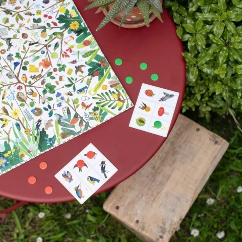 Joc de observatie Comorile gradinii, Moulin Roty [3]