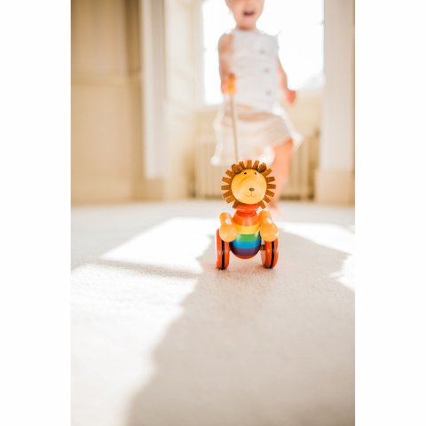 Jucarie de impins leu, Orange Tree Toys [3]