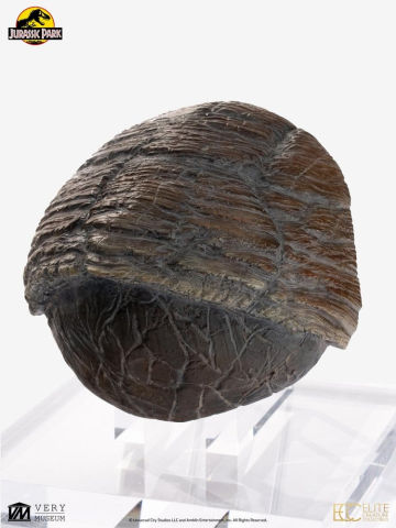 PRECOMENZI - Jurassic Park 1/1 Replica Triceratops Toenail 16 cm