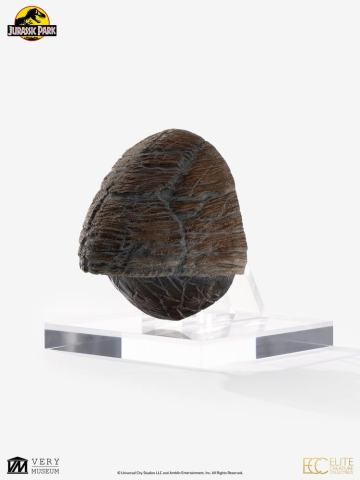 Jurassic Park 1/1 Replica Triceratops Toenail 16 cm [1]