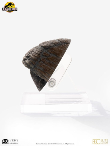 Jurassic Park 1/1 Replica Triceratops Toenail 16 cm [8]