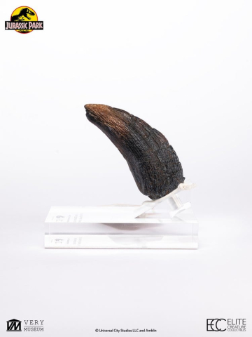 Jurassic Park 1/1 Replica Velociraptor Toenail Type A 11 cm [10]