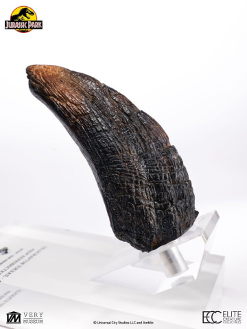 Jurassic Park 1/1 Replica Velociraptor Toenail Type A 11 cm [3]