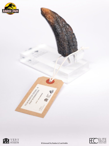 PRECOMENZI - Jurassic Park 1/1 Replica Velociraptor Toenail Type A 11 cm