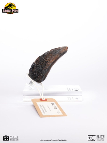 Jurassic Park 1/1 Replica Velociraptor Toenail Type A 11 cm [8]