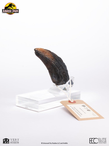 Jurassic Park 1/1 Replica Velociraptor Toenail Type A 11 cm [6]