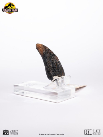 Jurassic Park 1/1 Replica Velociraptor Toenail Type A 11 cm [7]