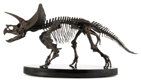 PRECOMENZI - Jurassic World ECC Elite Creature Line Statue 1/12 Triceratops Fossil Skeleton Bronze 33 cm
