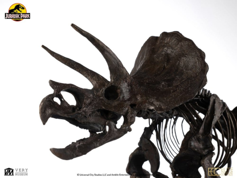 Jurassic World ECC Elite Creature Line Statue 1/12 Triceratops Fossil Skeleton Bronze 33 cm [9]
