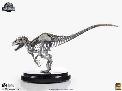Jurassic World Statue 1/24 Indominus Rex Skeleton Bronze 24 cm [12]