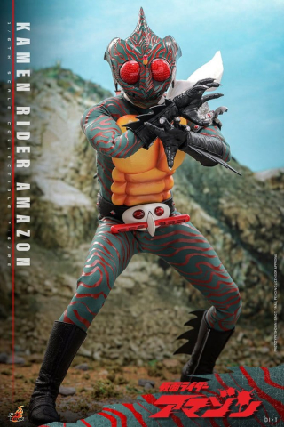 Kamen Rider Amazon 1/6 Amazon (Daisuke Yamamoto) 30 cm [12]