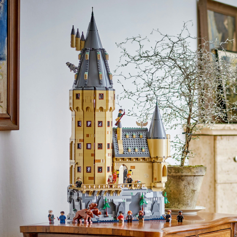 LEGO Harry Potter Castelul Hogwarts 76454 [7]