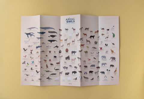 Lumea animalelor poster cu stickere, Londji [4]