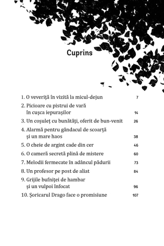 Luna si Padurea Magica Vol. 1: Bufnita cu o cheie in cioc – Roman fantasy 8+ ani [2]