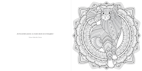Mandalele mele: Pisici – Carte de colorat pentru relaxare 12+ [2]