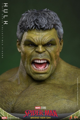 Marvel Action Figure 1/6 Hulk 51 cm [3]