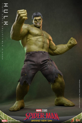 Marvel Action Figure 1/6 Hulk 51 cm [5]