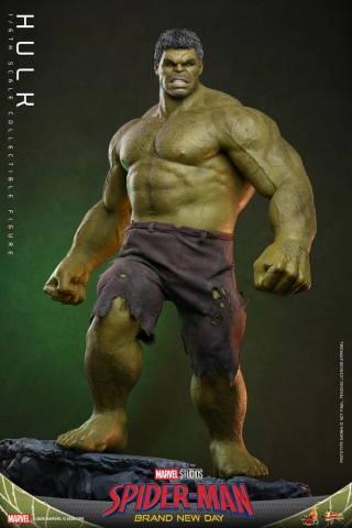 Marvel Action Figure 1/6 Hulk 51 cm [12]