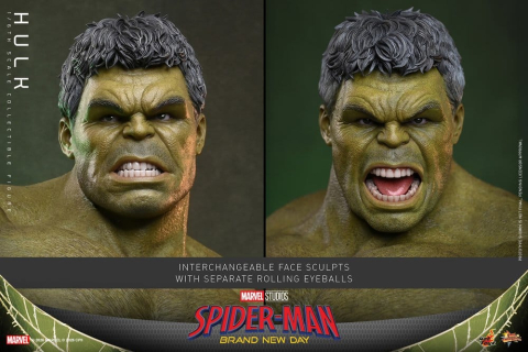 Marvel Action Figure 1/6 Hulk 51 cm [15]