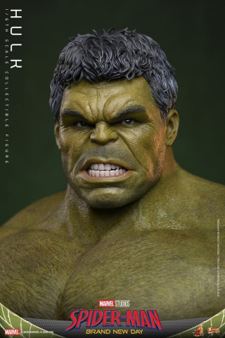Marvel Action Figure 1/6 Hulk 51 cm [1]