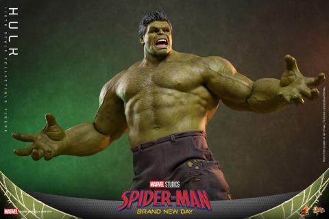 Marvel Action Figure 1/6 Hulk 51 cm [10]