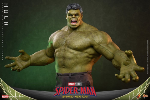Marvel Action Figure 1/6 Hulk 51 cm [9]