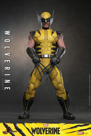 Marvel Video Game Masterpiece Action Figure 1/6 Wolverine 29 cm [6]