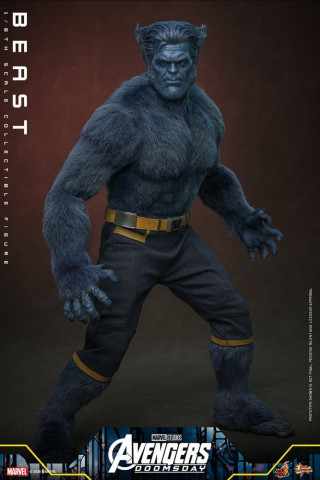 Marvel X-Men Movie Masterpiece Action Figure 1/6 Beast (Collector Edition) 33 cm [10]