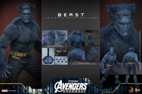 Marvel X-Men Movie Masterpiece Action Figure 1/6 Beast (Collector Edition) 33 cm [16]