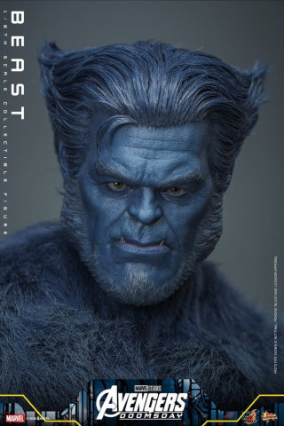 Marvel X-Men Movie Masterpiece Action Figure 1/6 Beast (Collector Edition) 33 cm [4]