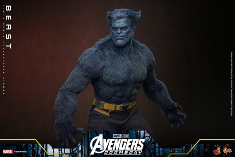 Marvel X-Men Movie Masterpiece Action Figure 1/6 Beast (Collector Edition) 33 cm [5]