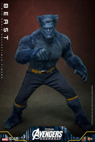 Marvel X-Men Movie Masterpiece Action Figure 1/6 Beast (Collector Edition) 33 cm [11]