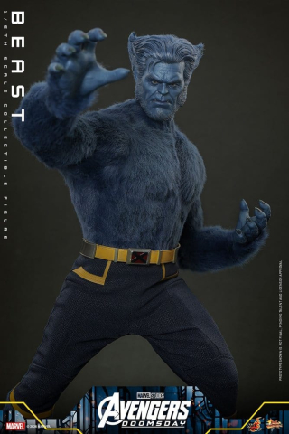 Marvel X-Men Movie Masterpiece Action Figure 1/6 Beast (Collector Edition) 33 cm [3]