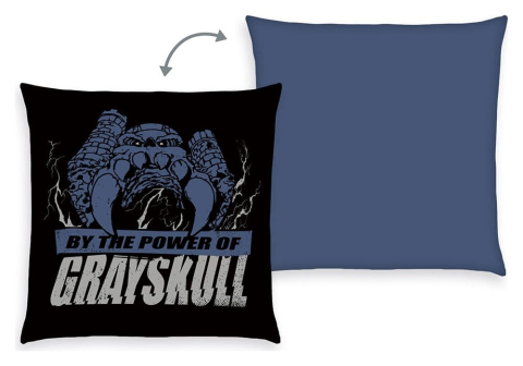 Casa si Cadouri - Masters of the Universe Pillow 40 x 40 cm