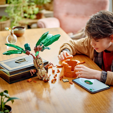 LEGO Harry Potter Matraguna 76433 [3]