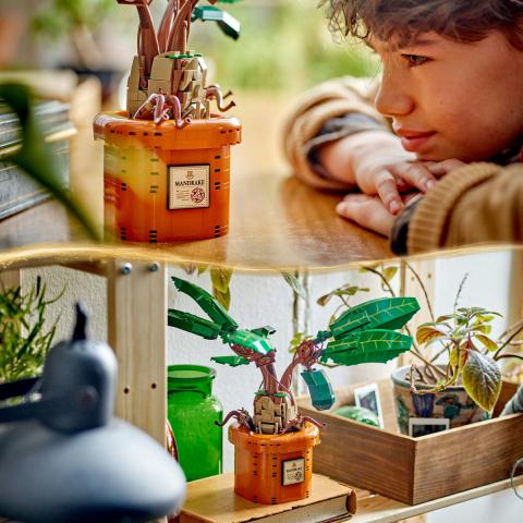 LEGO Harry Potter Matraguna 76433 [9]