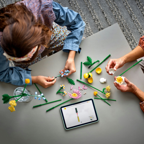 LEGO Botanicals Mic buchet luminos 10347 [6]