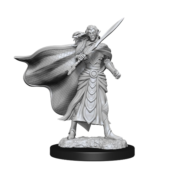 Noutati - Miniaturi Magic: The Gathering Elf Fighter & Elf Cleric