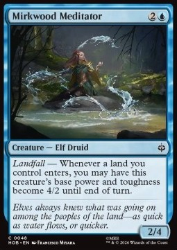 Magic: The Gathering Singles - Mirkwood Meditator The Hobbit - Singles 48 FOILED