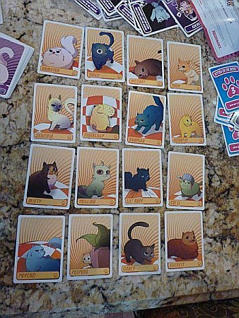 More Kittens in a Blender Expansion [3]