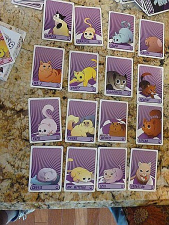 More Kittens in a Blender Expansion [2]